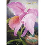 Lade das Bild in den Galerie-Viewer, gruesse harz shop postkarte