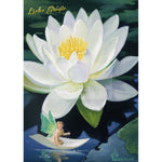 Lade das Bild in den Galerie-Viewer, postkarte seerose harz gruesse