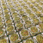 Lade das Bild in den Galerie-Viewer, Hexen Dip -mild-
